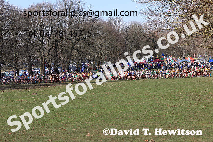 Womens under-17s 2025 UK CAU Inter Counties Cross Country Champs., Wollaton Park, Nottingham. Photo: David T. Hewitson/Sports for All Pics